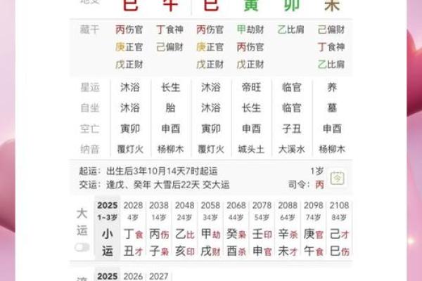 八字排盘宝免费版