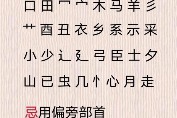按八字起名