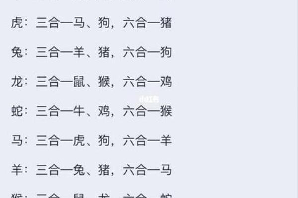 1997年属什么生肖配对