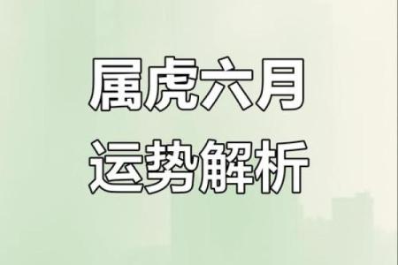 属虎人是什么八字命格