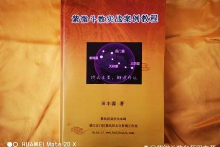 紫薇白娘子紫微斗数书