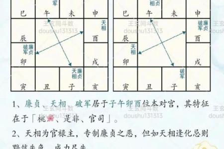了无居士紫薇斗数