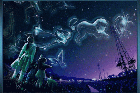 十二星座动态壁纸可收藏吗