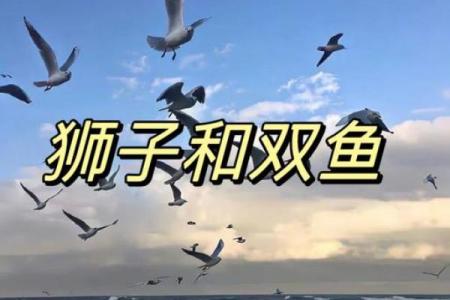双鱼女和狮子男配对指数