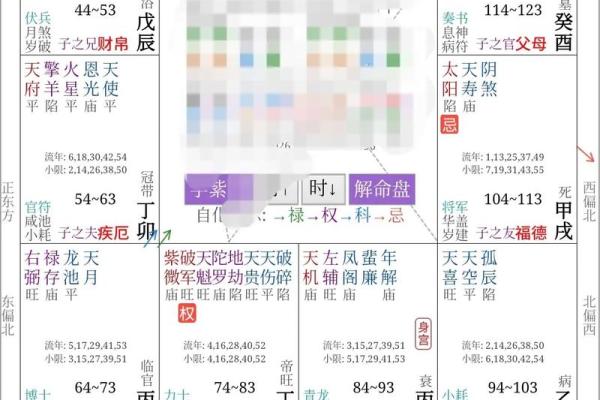 出轨的紫薇斗数