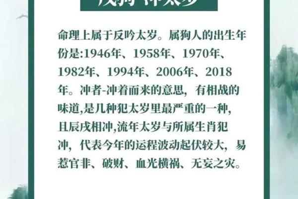 免费算命属狗明年财运