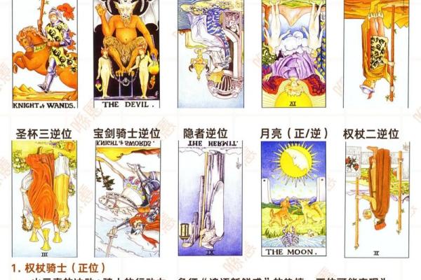 塔罗测试：今年你最大的收获是什么？