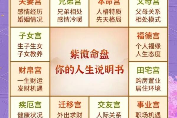 紫微斗数财运,紫微斗数财富分析