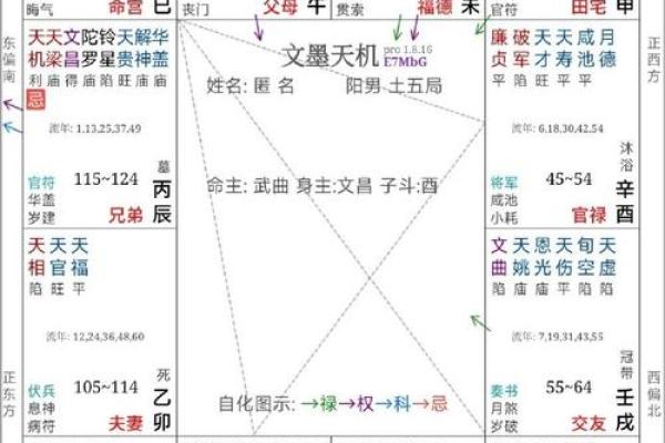 紫薇斗数破格