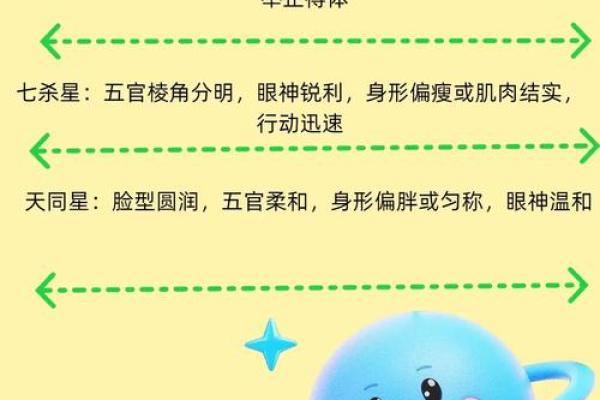 天虚紫薇斗数