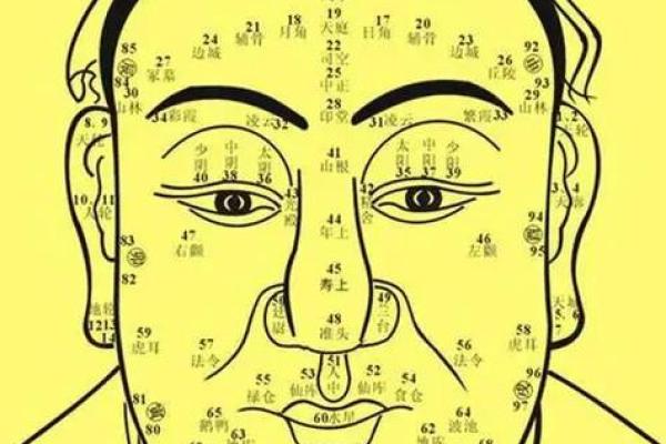 看胎记位置算命
