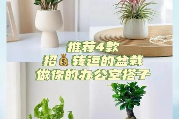 考试转运方法及技巧 办公室风水转运
