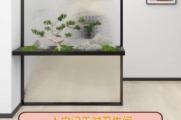 进门对卫生间门好不好有什么风水影响
