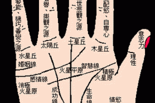 胎记算命图解好坏