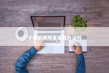 十堰的朝阳星座能办证吗