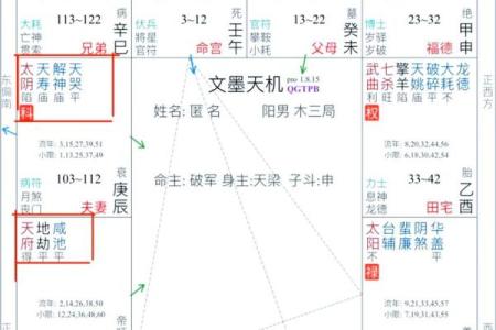 紫微斗数之：论事业