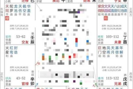 紫薇斗数贵子