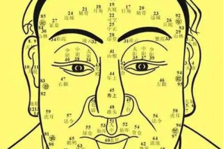 看胎记位置算命