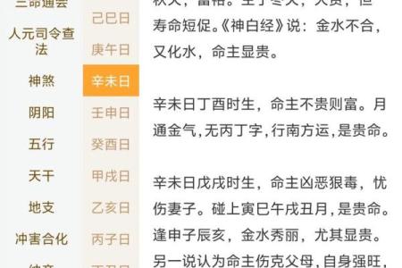 八字智慧
