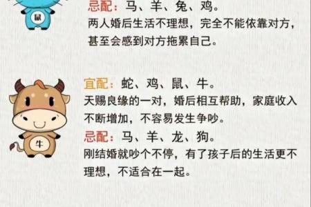 1981年属什么生肖配对