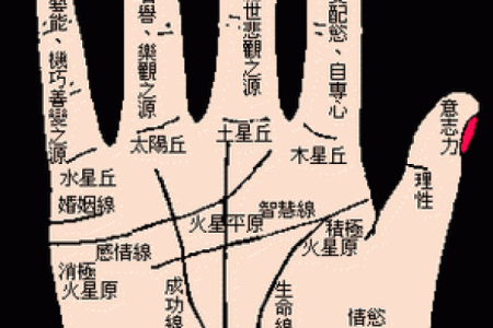 胎记算命图解好坏