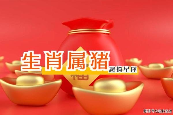 生肖虎明日运势查询星座网