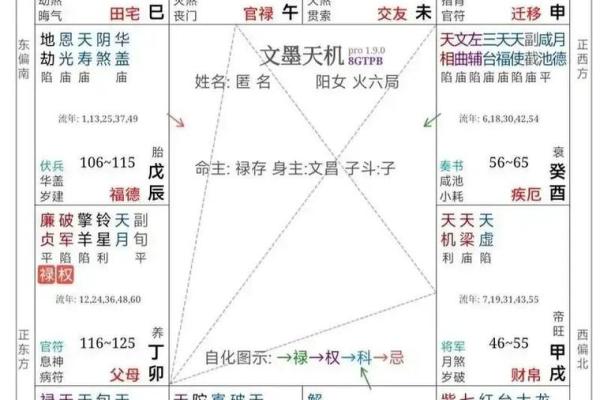 紫薇斗数基本