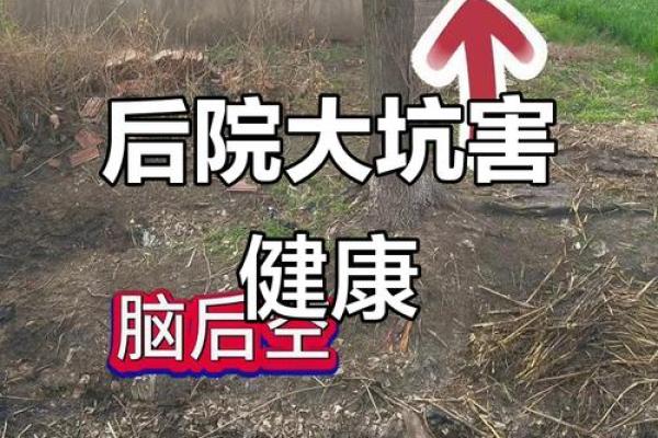 风水上房子前有水坑好不好