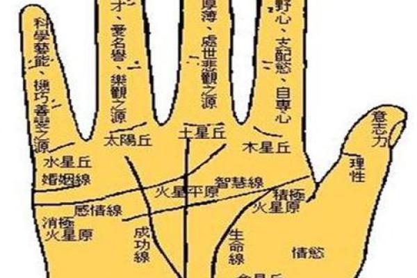 看手相算命图解：手相看婚姻