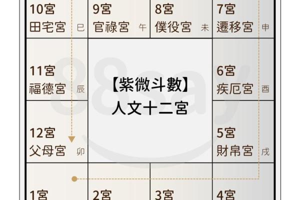 紫微斗数怎么看流年正缘 紫微斗数怎样看流年？