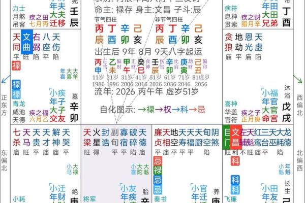紫薇斗数盘下载