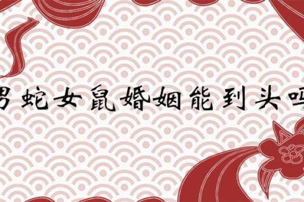 女蛇男鼠属相婚配好吗 女蛇男鼠配对宜