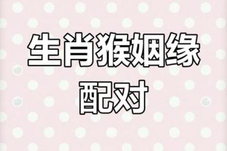 兔猴生肖配对姻缘 兔与猴的婚姻相配吗