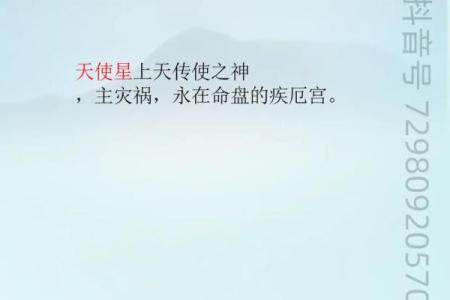 上帝为什么紫薇斗数