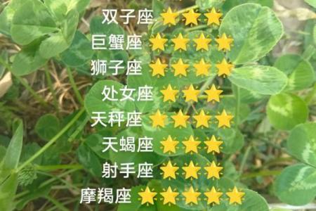 白羊座今日紫微黄历运势