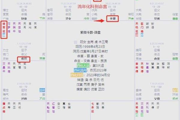 紫薇斗数科在命宫