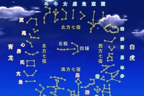 紫薇斗数科在命宫