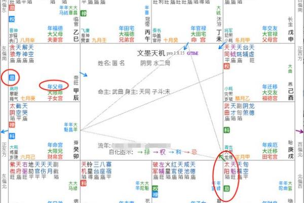 紫微斗数诸星落诸宫之：破军星奴仆宫详解