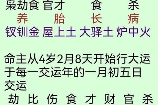 相同八字