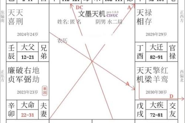 循环忌紫薇斗数