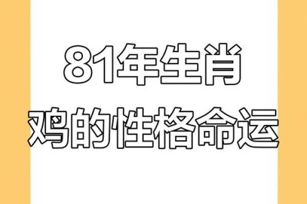 属鸡的人，生辰八字算命自检表，算命从此不求人！