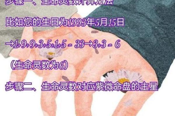 生命灵数3跟灵数几配对