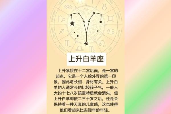 不敢相信爱情的星座运势