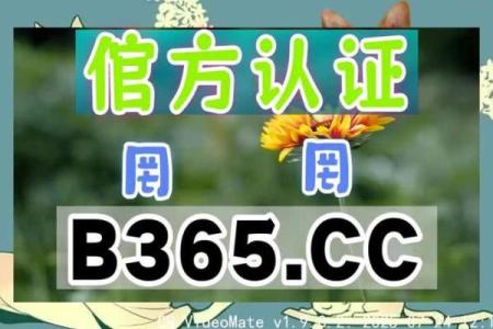 结婚吉日在线播放 结婚吉日在线查询？