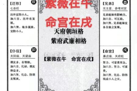 紫薇斗数交运是什么意思