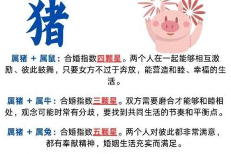 属鸡双子座与属猪处女座配对如何