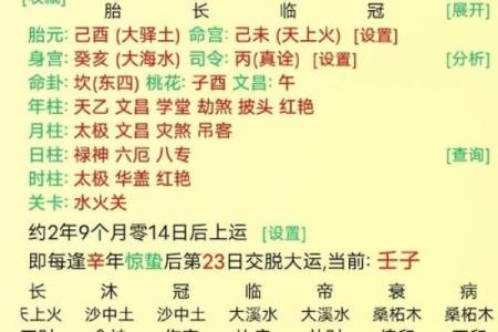 八字身旺财杀两透