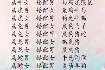 生肖配对查询男女