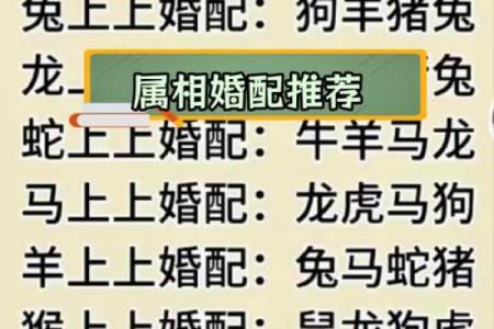婚姻属相配对查询属马 哪些属相与属马最相配