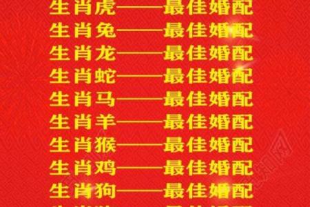 婚姻属相配对大全很准免费 十二生肖婚姻配对表